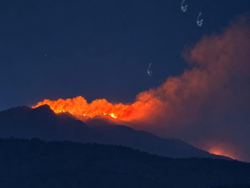 Penanganan kebakaran hutan dan lahan di kawasan Gunung Lawu, Karanganyar